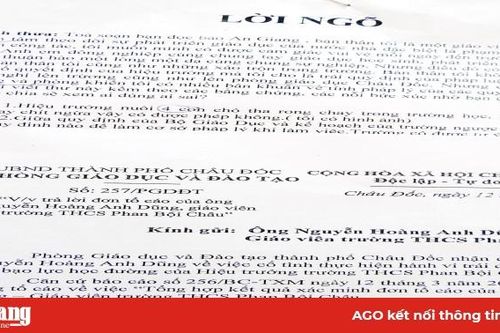 Trả lời tố cáo liên quan đến Trường THCS Phan Bội Châu