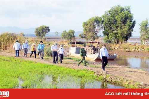 Thăm, kiểm tra các chốt phòng, chống dịch Covid-19 trên biên giới huyện Tịnh Biên