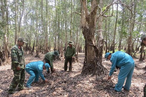 Triển khai quyết liệt các biện pháp phòng cháy, chữa cháy rừng