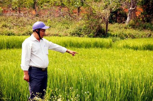 Chư Pưh: Liên kết phát triển kinh tế hợp tác xã