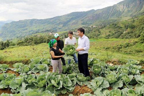 Hướng thoát nghèo bền vững ở vùng cao Bát Xát