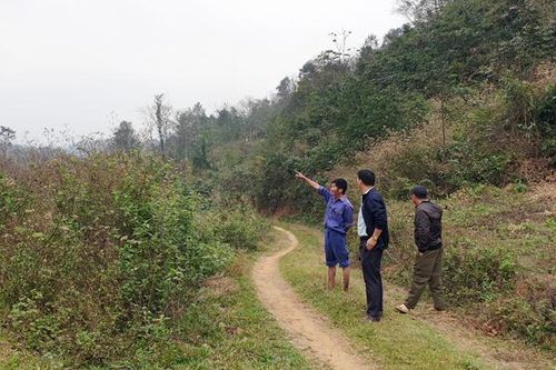Chuyện thật như đùa