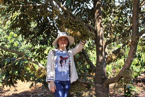 Nữ giám đốc năng động