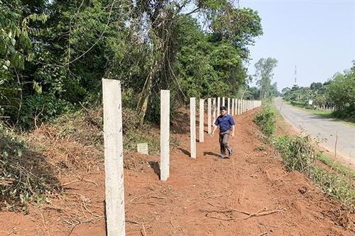 Xâm lấn rừng nguyên sinh khi triển khai dự án du lịch sinh thái