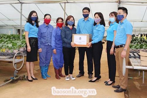 Tập trung triển khai các biện pháp phòng, chống dịch COVID-19
