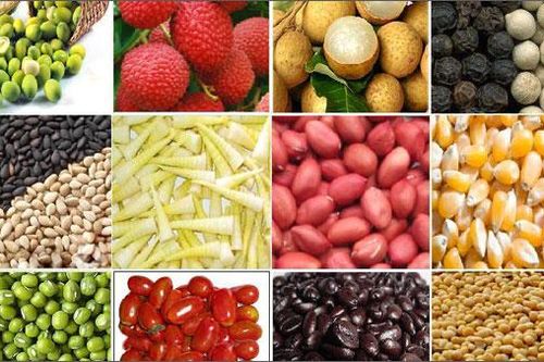 Xuất khẩu EU: DN cần sử dụng chứng thư điện tử kiểm dịch động, thực vật