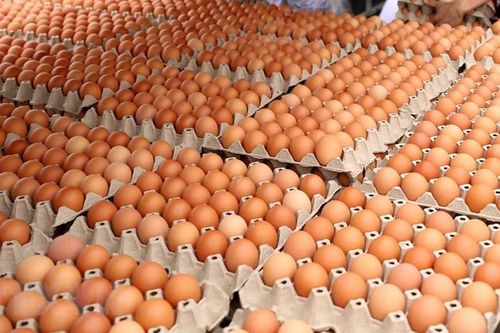 Khuyến cáo người dân không nghe theo tin đồn ăn trứng gà phòng COVID-19