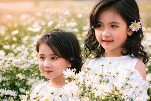 Hai 'thiên thần nhí' khoe sắc bên cúc họa mi khiến cộng đồng mạng 'tan chảy'