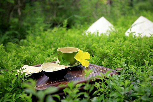Bài thuốc trị tăng huyết áp