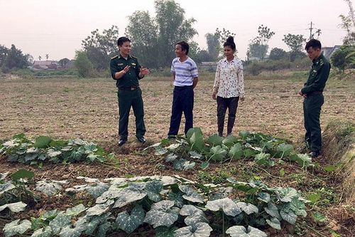 Đồn Biên phòng Thanh Luông giúp dân xóa đói giảm nghèo