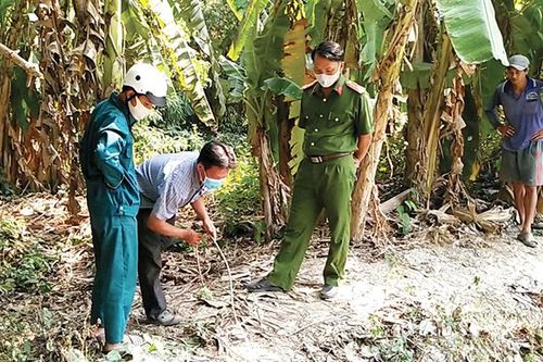 Một thanh niên tử vong trong lúc dùng mô-tơ điện bơm nước tưới rau