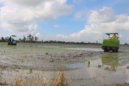 Hài hòa giữa phát triển kinh tế và ứng phó, thích ứng với biến đổi khí hậu