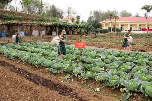Tăng gia ở Đại đội Công binh 17