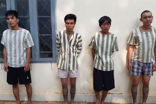 Bắt khẩn cấp băng nhóm trộm xe liên tỉnh tại Đồng Nai
