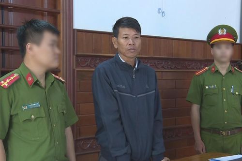 Truy tố chủ xưởng gỗ tàng trữ gỗ trái phép