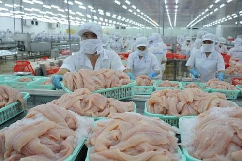 Hệ thống kho lạnh quá tải, không còn chỗ chứa cá tra, tôm