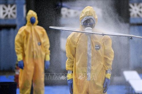 Brazil đã có 6.836 ca dương tính với virus SARS-CoV-2