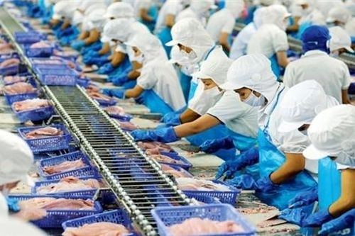 Chìa khóa giúp doanh nghiệp thủy sản đón thời cơ sau dịch Covid-19