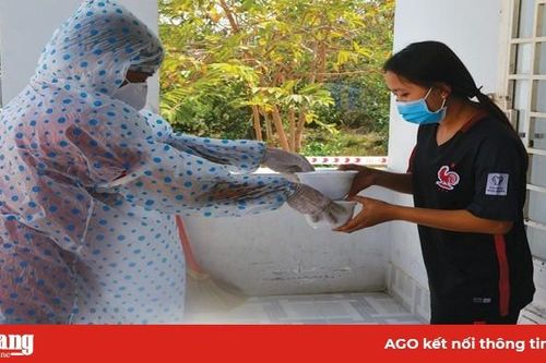 Những bông hoa đẹp mùa dịch bệnh