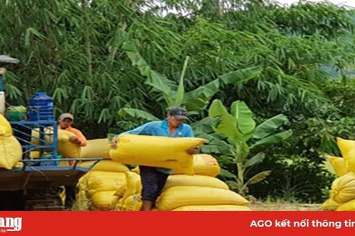 Cơ hội cho nông nghiệp