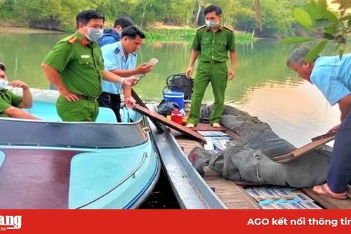 Bắt giữ 1.500 cây thuốc lá lậu từ Campuchia về Việt Nam