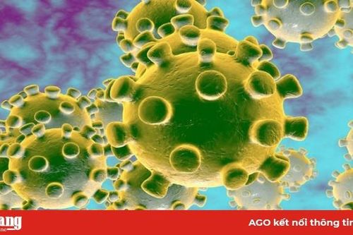 Không có trường hợp nghi ngờ nhiễm Covid-19 tại địa bàn giáp ranh Chợ Mới - Thanh Bình