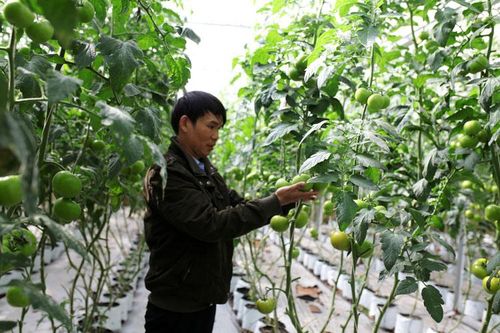 Thúc đẩy sản xuất thích ứng dịch bệnh COVID-19