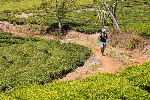 Nâng sức khỏe trong mùa dịch bệnh