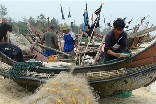 Sức sống mới trên miền cát trắng Triệu Lăng