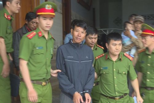 Truy tố ông chủ xưởng gỗ chứa gỗ lậu