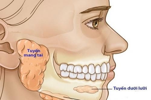Nhận biết viêm nhiễm dễ gặp vùng hàm mặt