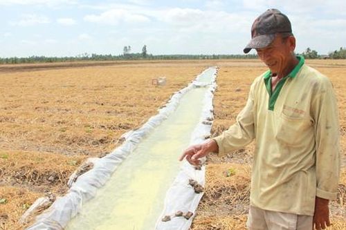 Hỗ trợ ĐBSCL phòng chống hạn mặn