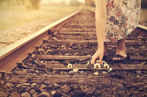 Sông có khúc, người có lúc, vạn sự tùy duyên không tranh đấu thì hạnh phúc đong đầy