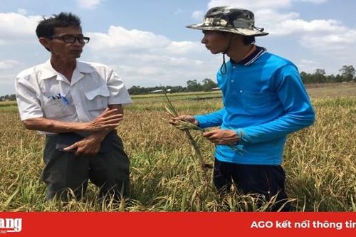 'Nhà khoa học của nông dân'