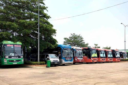Tạm ngừng hoạt động vận tải hành khách công cộng: Doanh nghiệp đồng thuận