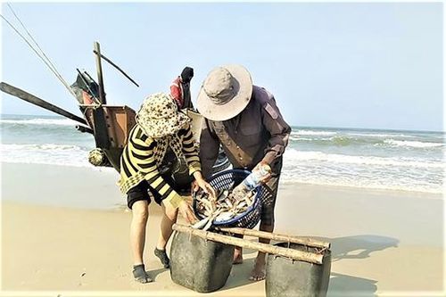 Vượt sóng mùa biển động