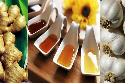 Thảo dược nào chứa kháng sinh tự nhiên?