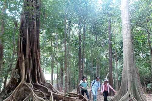 Khai thác hiệu quả tiềm năng Vườn quốc gia Chư Mom Ray