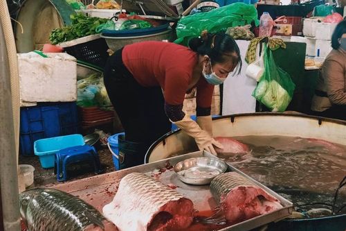 Hải sản giảm giá giữa mùa dịch COVID-19, dân vẫn thờ ơ