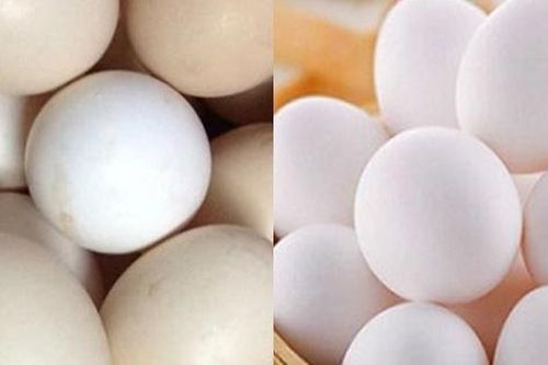 Mất 3 giây nhìn vào đặc điểm này của trứng gà: Biết ngay đâu là quả tươi, quả nào bị ngâm hóa chất, tẩy trắng