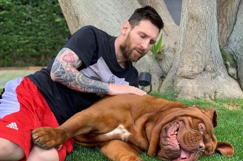 Messi, Sanchez và các sao bóng đá yêu thú cưng