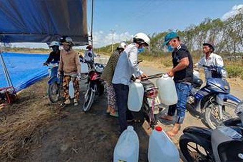 Tiếp sức cho cây thanh long trong mùa hạn, mặn