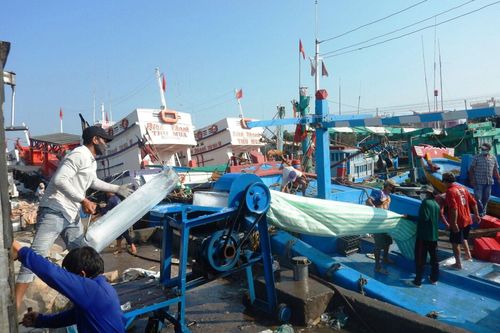 Vươn khơi giữa mùa dịch