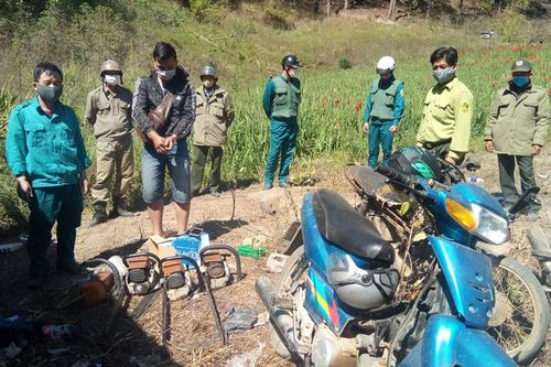 Tuần tra đêm, phát hiện 5 đối tượng phá rừng trái phép