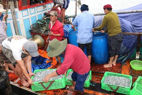 Tổng sản lượng thủy hải sản quý I.2020 đạt 8.659,6 tấn