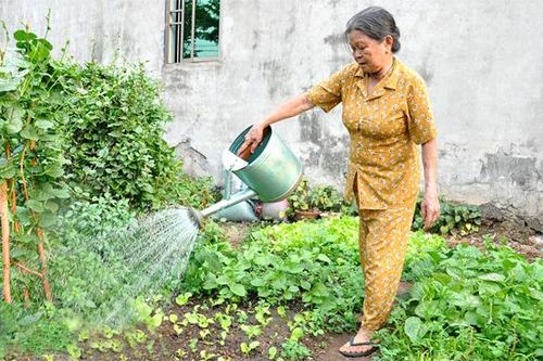 Người dân ngoại thành Hà Nội thực hiện cách ly toàn xã hội như thế nào?