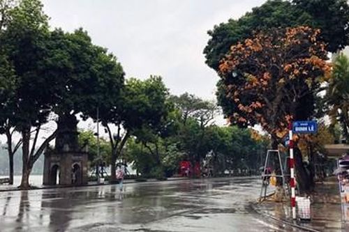 Nhiều khu vực trong cả nước có dông và gió giật mạnh
