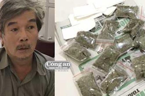 Mang 'cỏ' lên núi