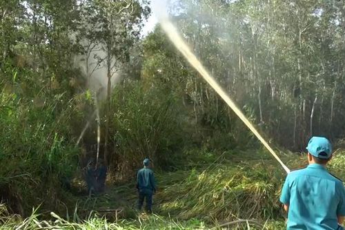 Cà Mau lo đối phó khi 80% diện tích rừng dự báo cháy cấp V