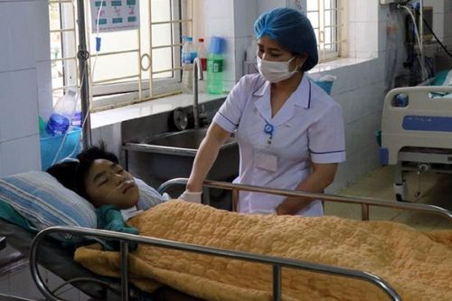Ăn nhầm nấm độc, em tử vong, anh nguy kịch